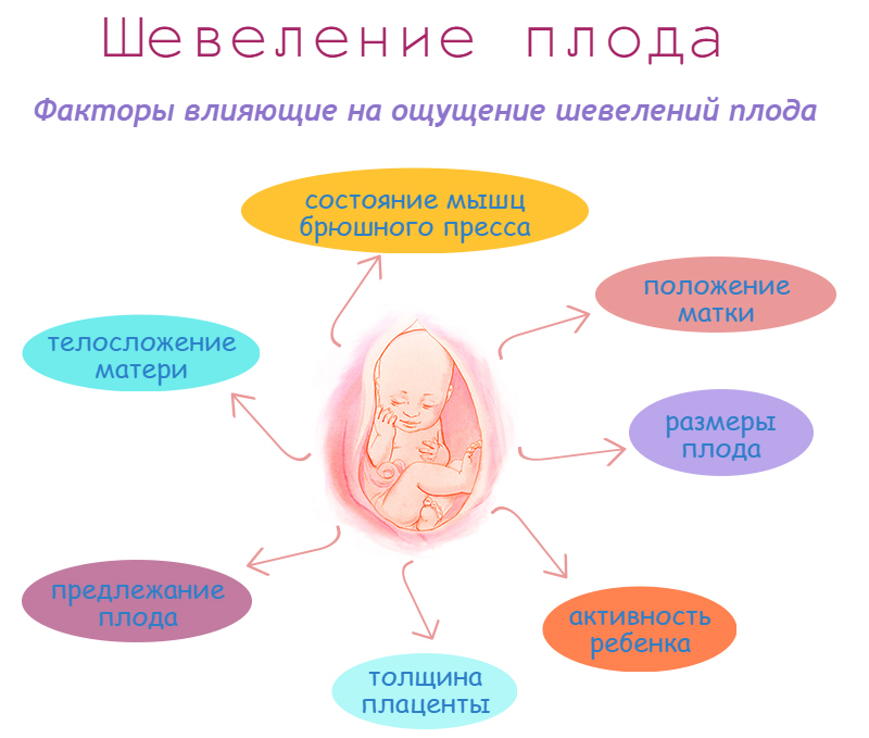 10 мифов о сексе во время беременности — Лайфхакер